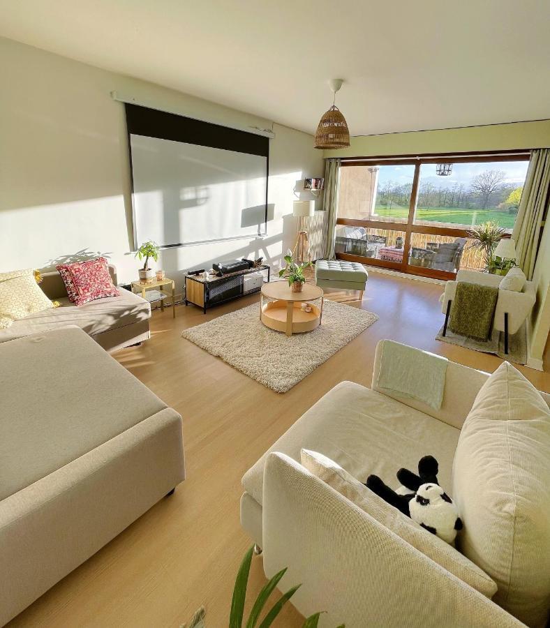 Appartement Tres Cosy A 5 Min Aeroport Geneve フィルネー・ボルテール エクステリア 写真