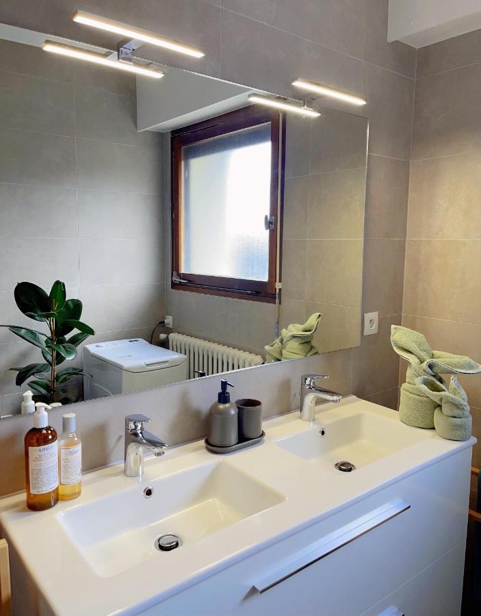 Appartement Tres Cosy A 5 Min Aeroport Geneve フィルネー・ボルテール エクステリア 写真