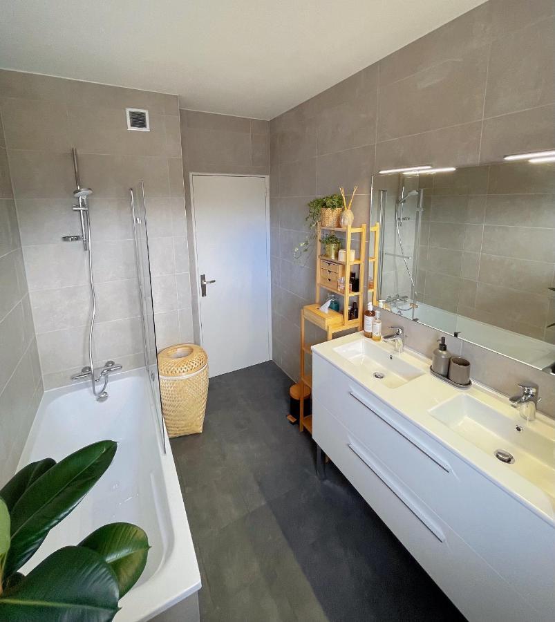 Appartement Tres Cosy A 5 Min Aeroport Geneve フィルネー・ボルテール エクステリア 写真