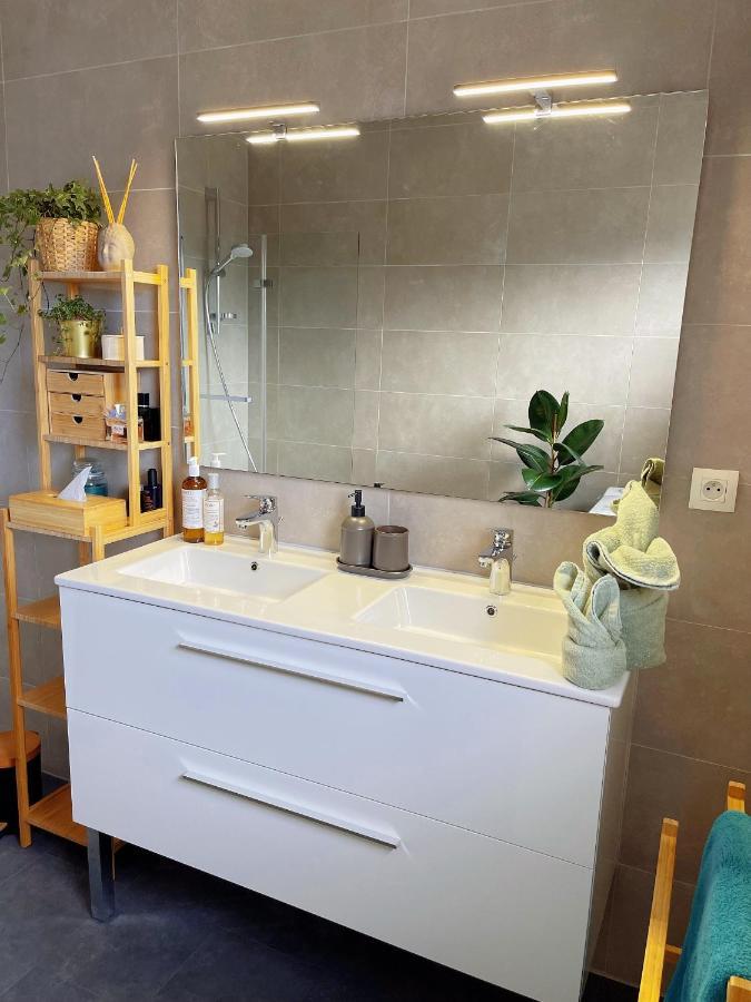 Appartement Tres Cosy A 5 Min Aeroport Geneve フィルネー・ボルテール エクステリア 写真