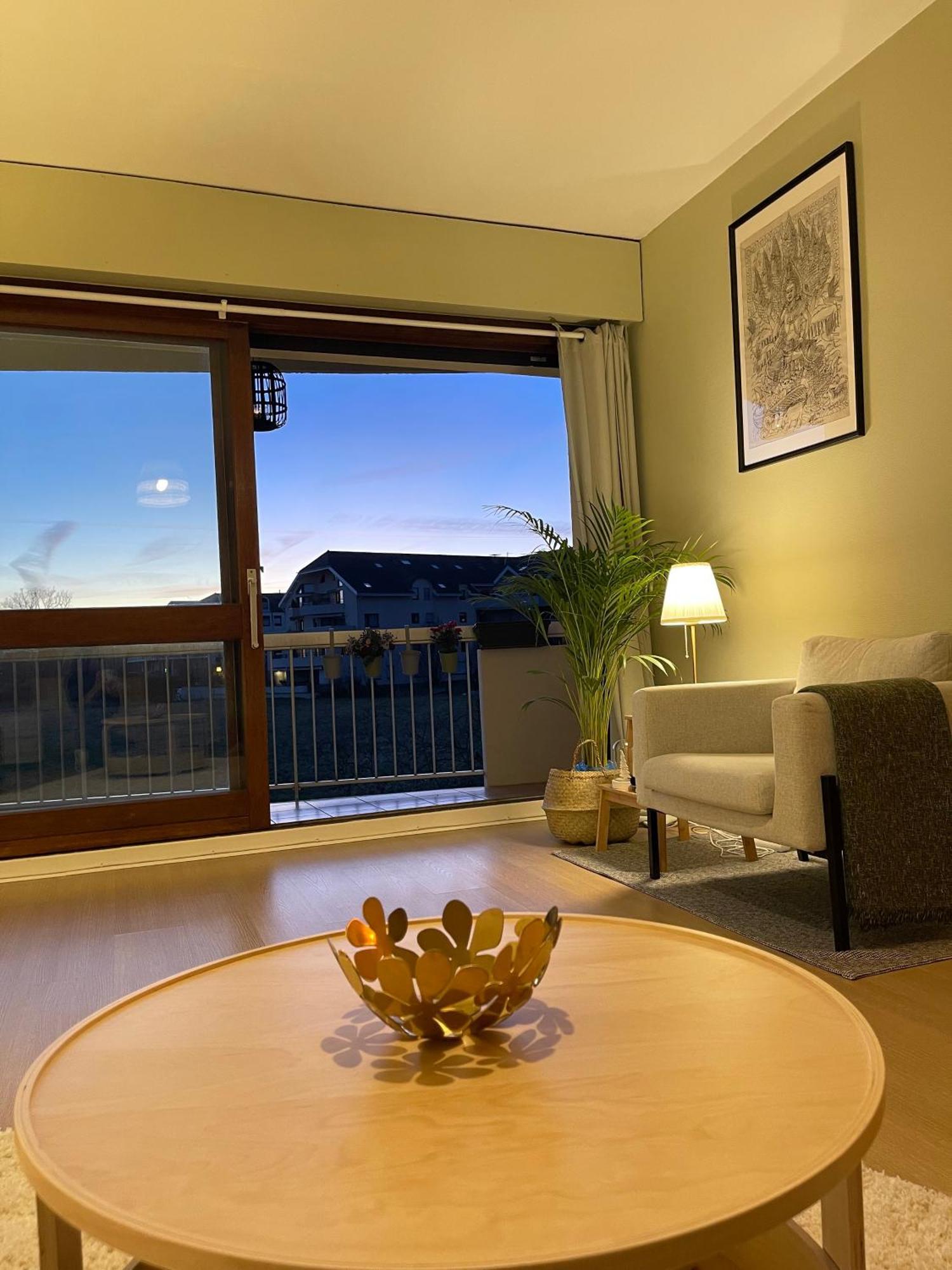 Appartement Tres Cosy A 5 Min Aeroport Geneve フィルネー・ボルテール エクステリア 写真