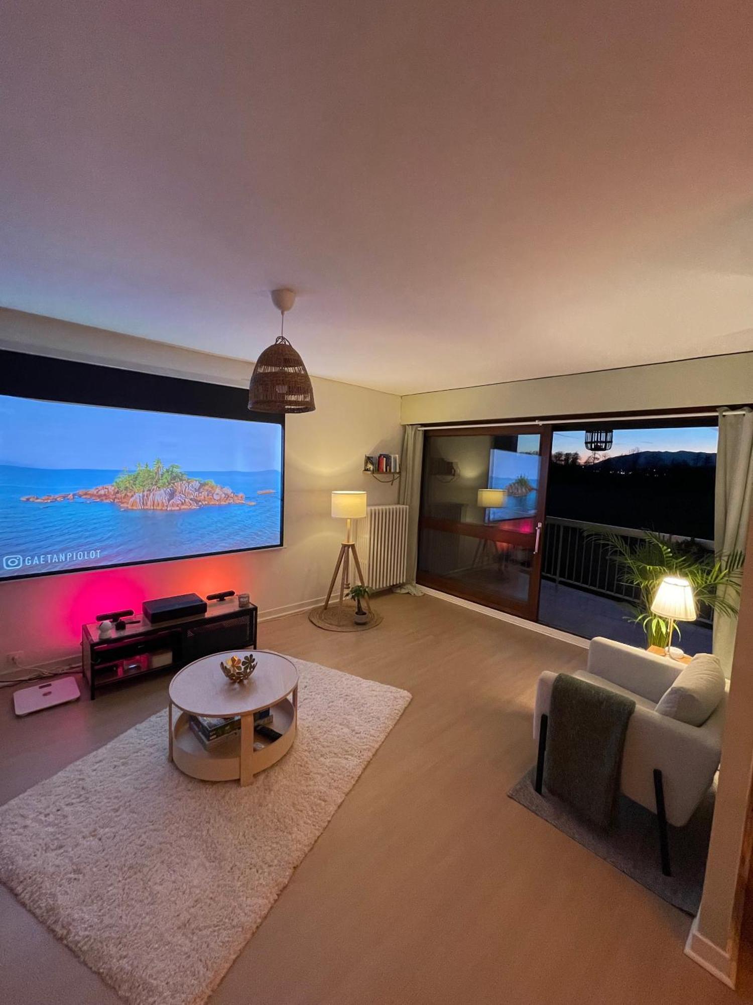 Appartement Tres Cosy A 5 Min Aeroport Geneve フィルネー・ボルテール エクステリア 写真