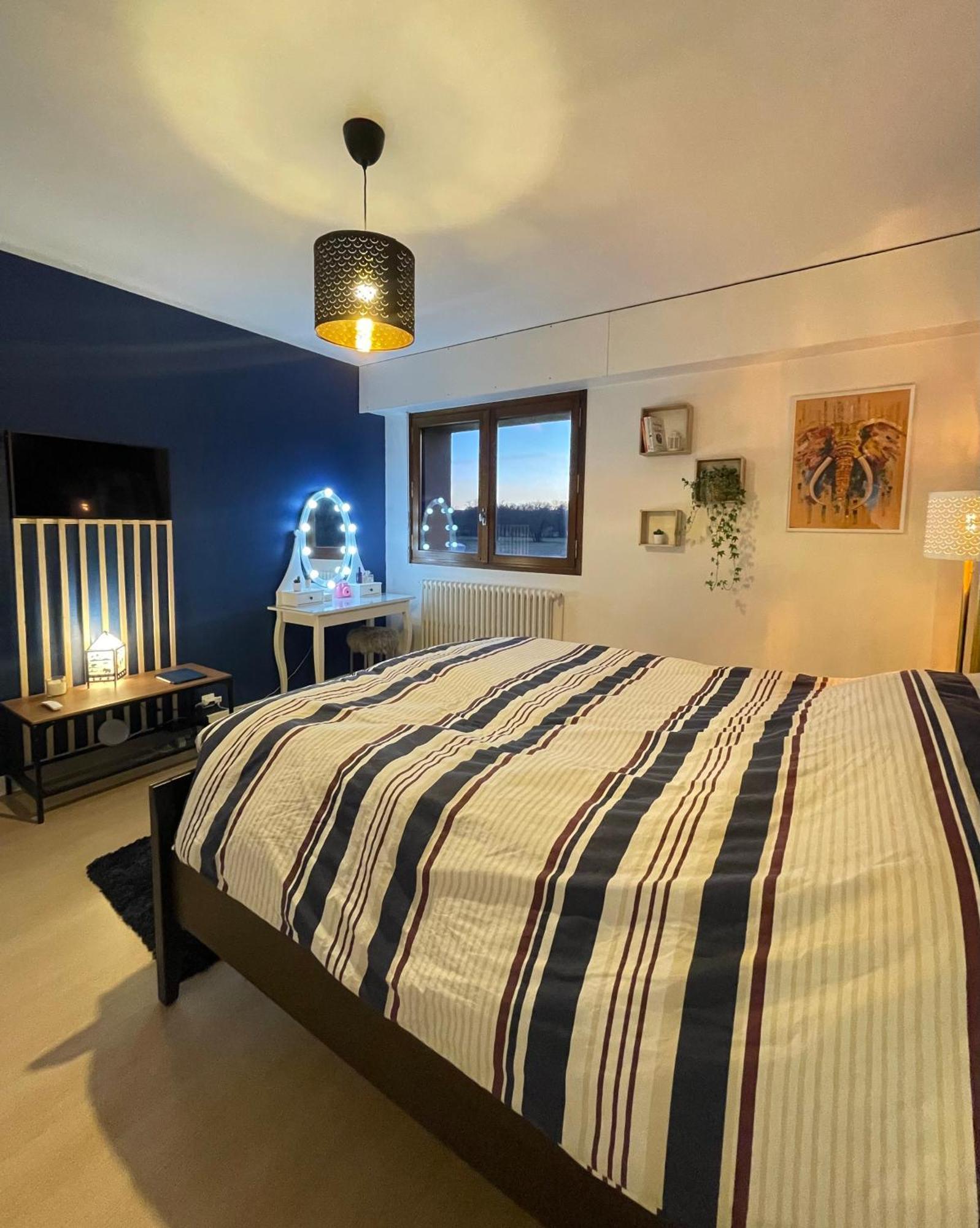 Appartement Tres Cosy A 5 Min Aeroport Geneve フィルネー・ボルテール エクステリア 写真