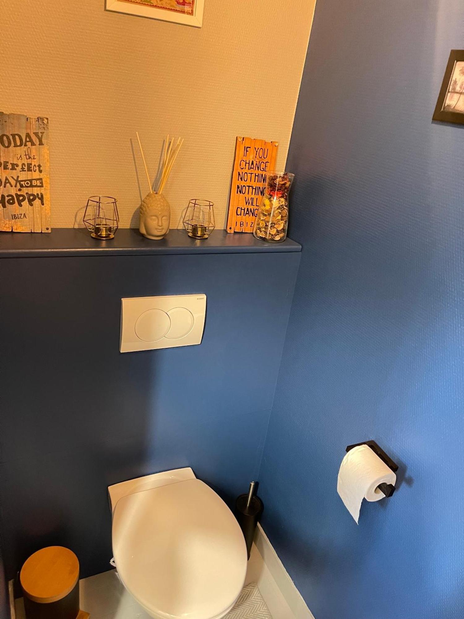 Appartement Tres Cosy A 5 Min Aeroport Geneve フィルネー・ボルテール エクステリア 写真