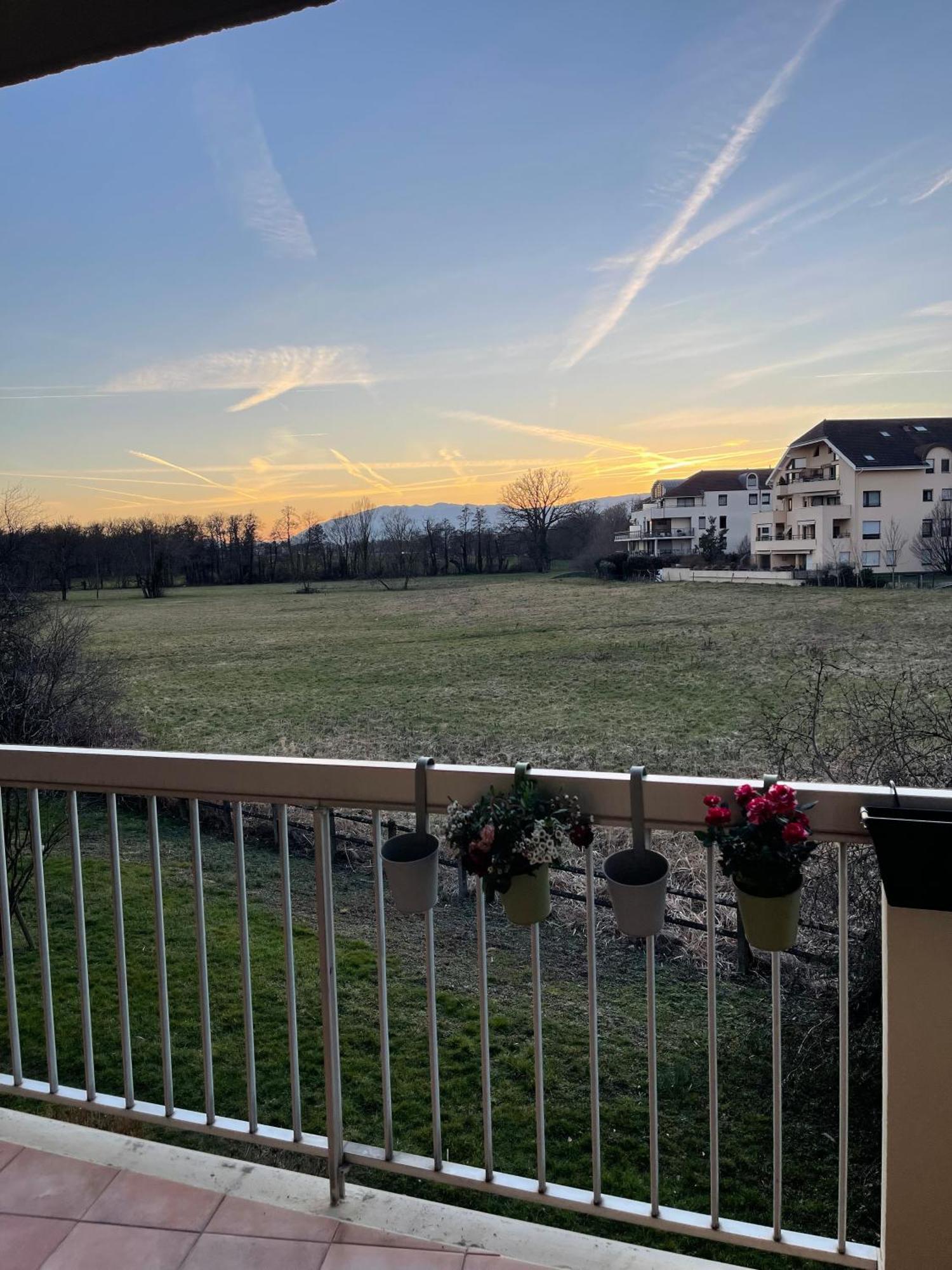 Appartement Tres Cosy A 5 Min Aeroport Geneve フィルネー・ボルテール エクステリア 写真